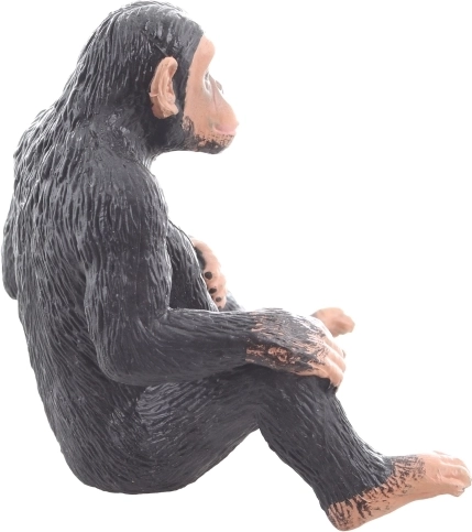 Excelentă pentru învățare și creativitate