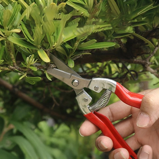 Mecanism cu arc pentru tăiere ușoară
