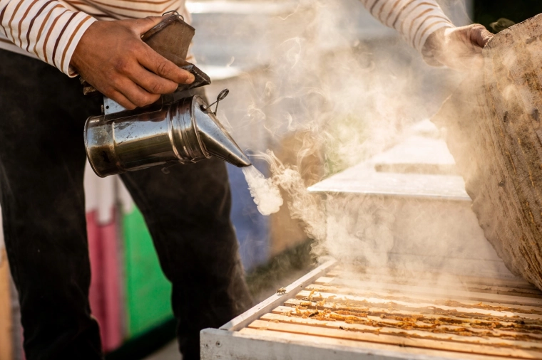 Liniștirea precisă a albinelor în timpul inspecției stupului