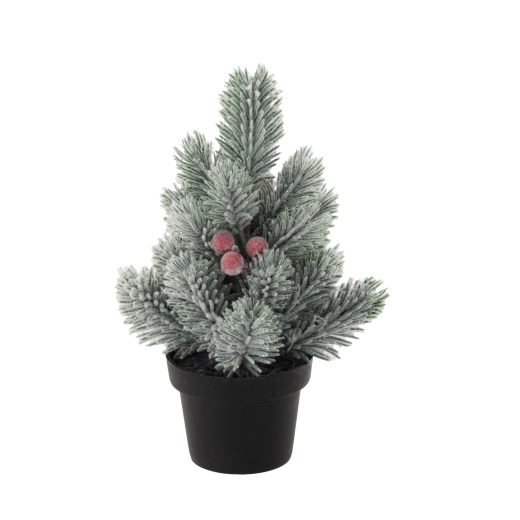 Ace realiste cu efect de iarnă