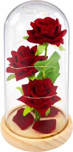 Cupolă elegantă din sticlă