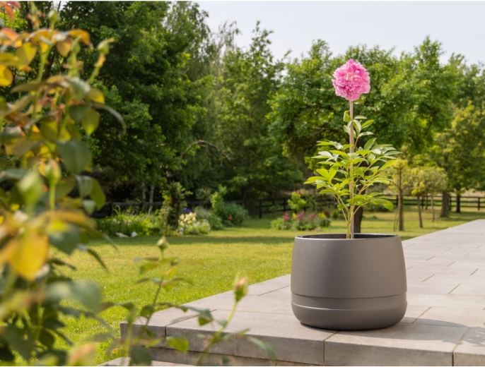 Antracit mat stilat pentru orice spațiu