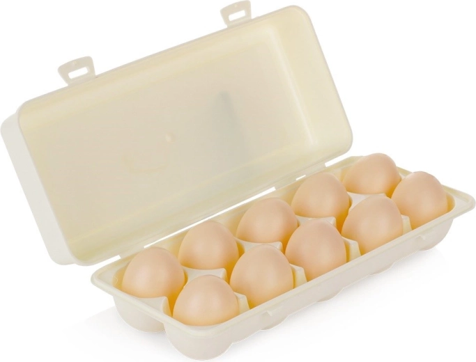 Cutie din plastic Orion pentru 10 ouă