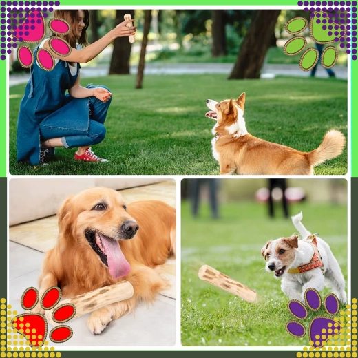 Distracție pentru ros și aport