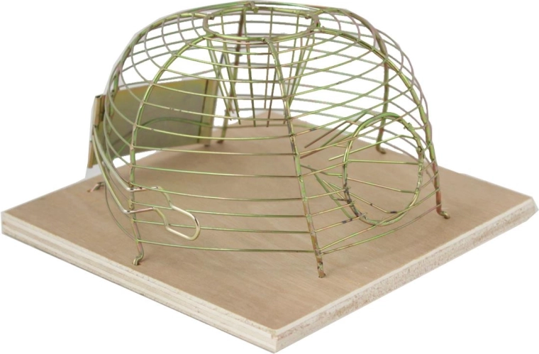 Capcană vie pentru șoareci 14 × 14 cm