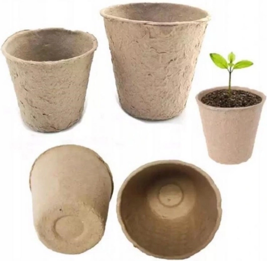 Sistem radicular sănătos