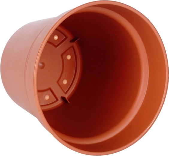 Formă bine gândită pentru plante sănătoase