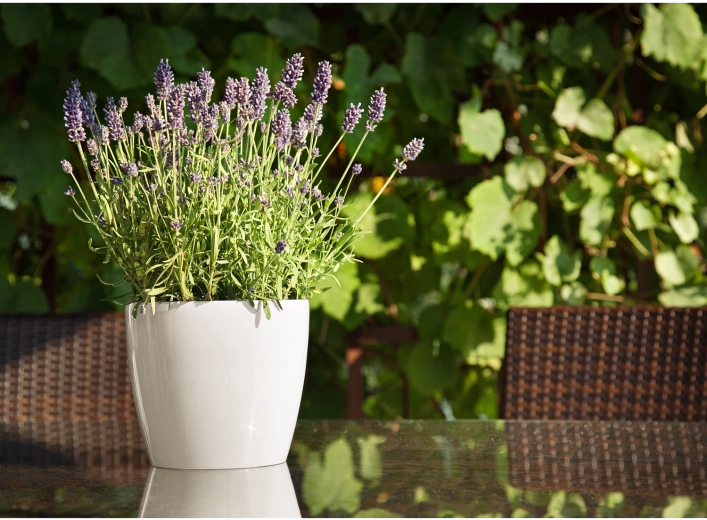 Potrivit pentru interior și exterior