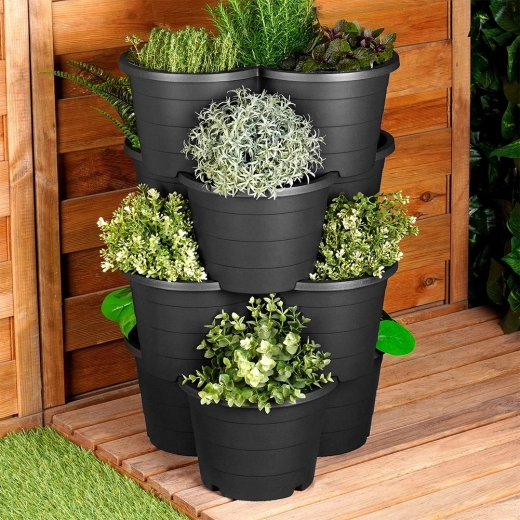 Drenaj pentru rădăcini sănătoase