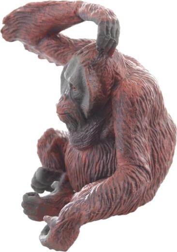 Poziție stabilă pentru expunere și joacă