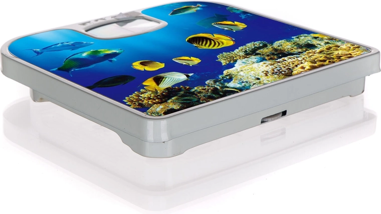 Decor stilat al lumii subacvatice