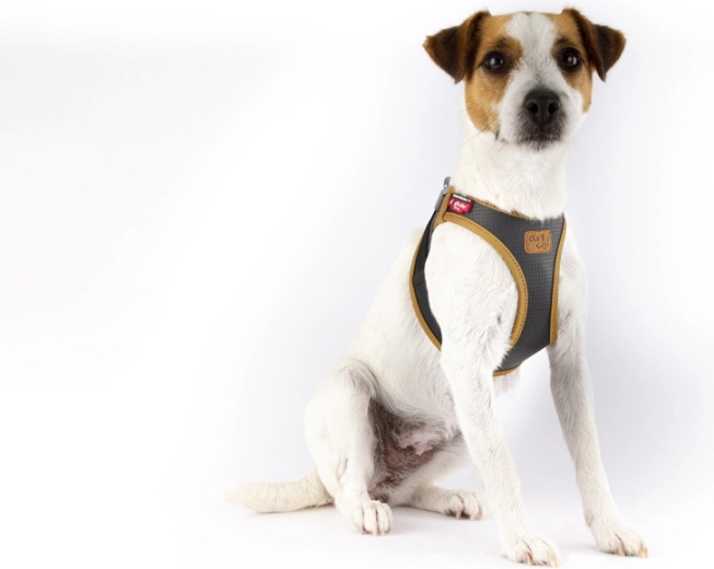 Ergonomie Comfort Fit și distribuție sigură a tensiunii