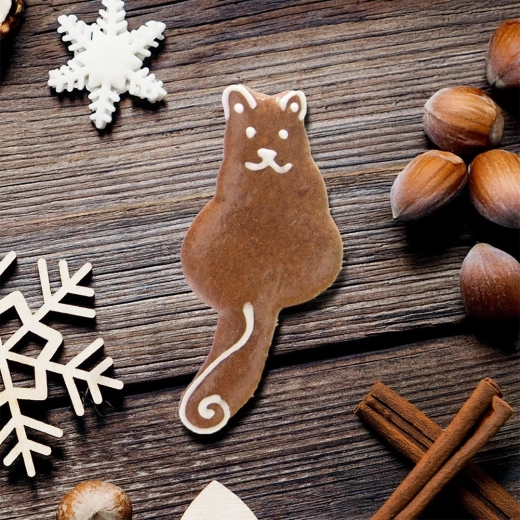 Decor creativ pentru sărbători și tot anul