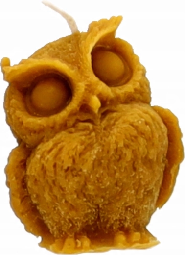 Detalii fidele ale bufniței