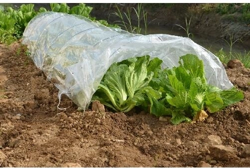 Solar tip tunel pentru grădină 300 × 65 × 45 cm