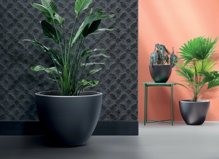 Design modern minimalist