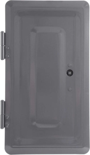 Uși de vizitare duble pentru coș, gri, 160 × 320 mm