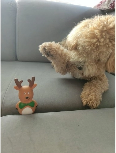 Figurine cu scârțâitor pentru o motivație mai mare la joacă