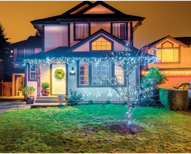 Pentru decorarea spațiilor interioare și exterioare