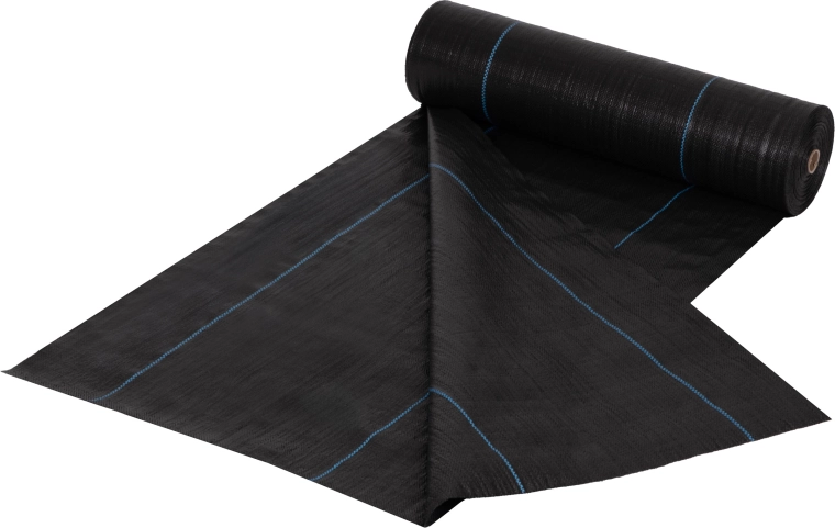 Linii directoare pentru plantare precisă