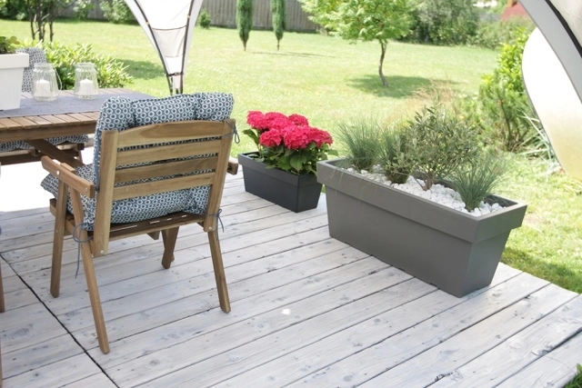 Spațiu suficient pentru plantări bogate