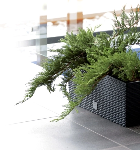 Plastic rezistent și întreținere ușoară