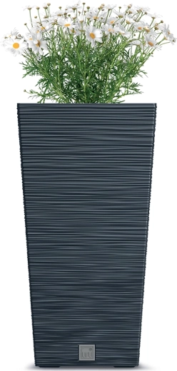 Design modern cu striații