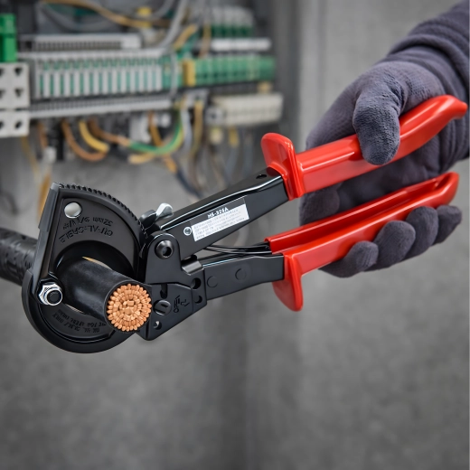 Mecanism cu clichet pentru precizie