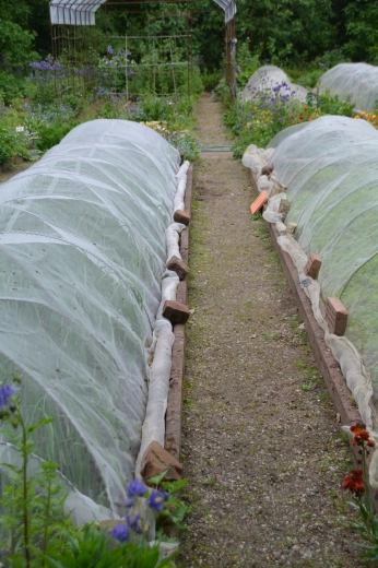 Utilizare universală pe straturi și arbuști