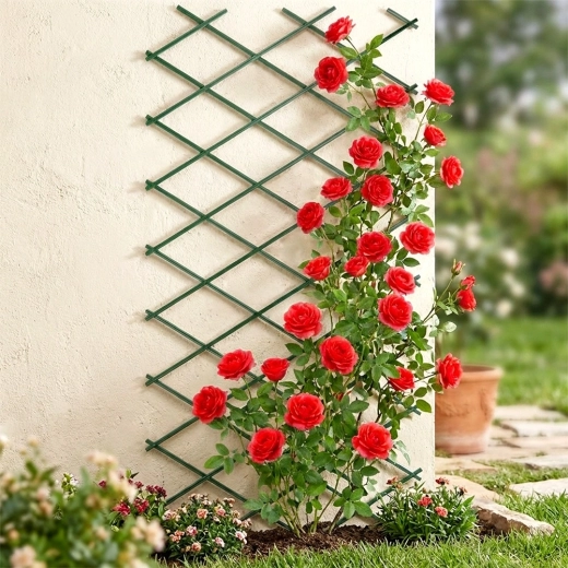 Suport elegant pentru trandafiri și alte plante cățărătoare
