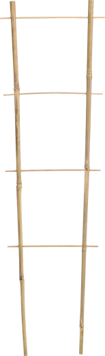 Sprijin dublu din bambus pentru plante căţărătoare 45 cm