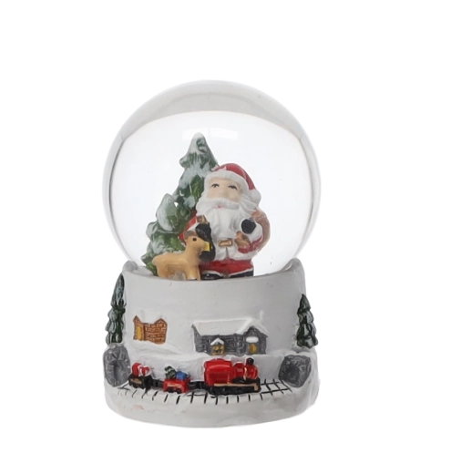 Magia ninsorii la îndemână