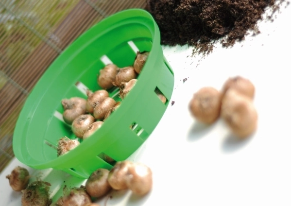 Protecție împotriva dăunătorilor și ordine în strat