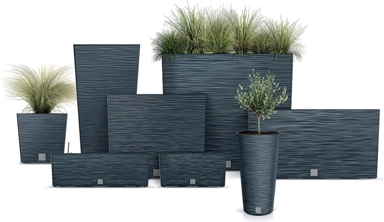 Utilizare variabilă în set