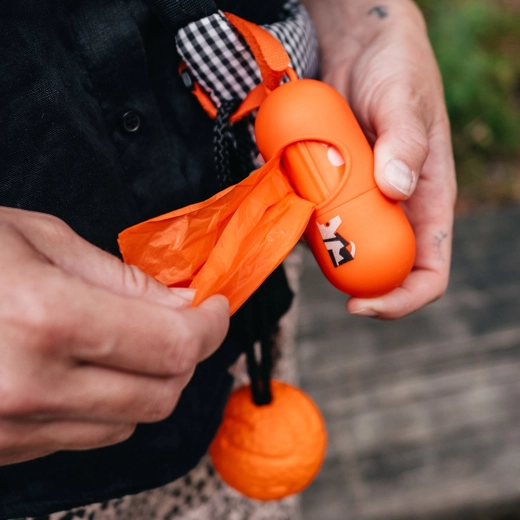 Practic pentru plimbări