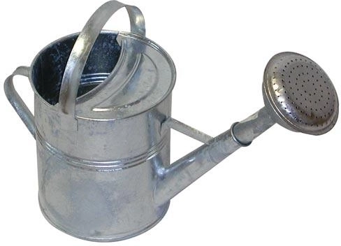 Stropitoare de grădină zincată 5 l cu duză tip „trandafir”