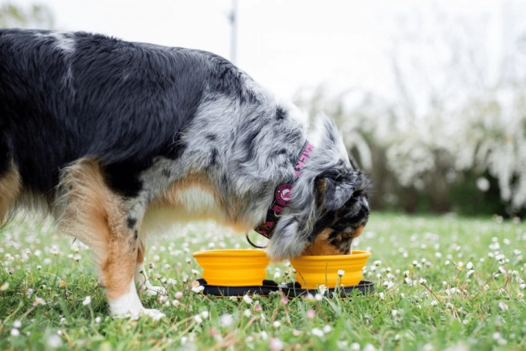 Utilizare rapidă oriunde