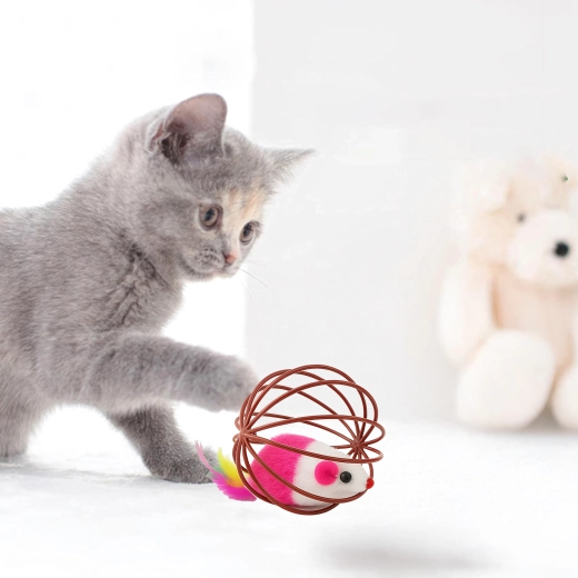 Construcție sigură și durabilă