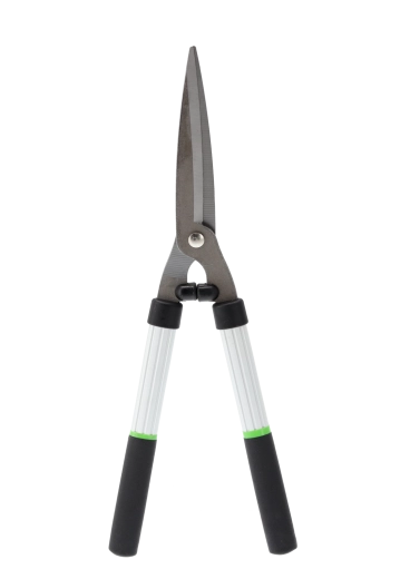 Tăiere precisă și modelarea gardurilor vii