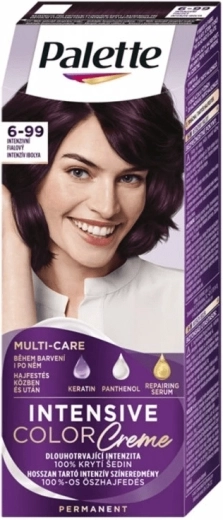 Palette Intensive Color Creme 6-99 violet intens 50 ml