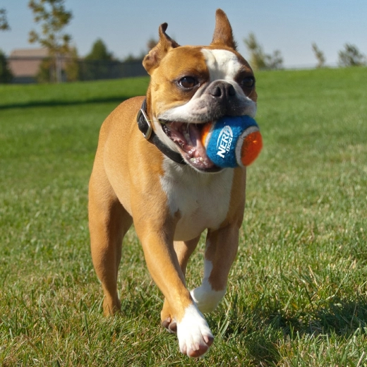 Rezistență ridicată și ricochet excelent