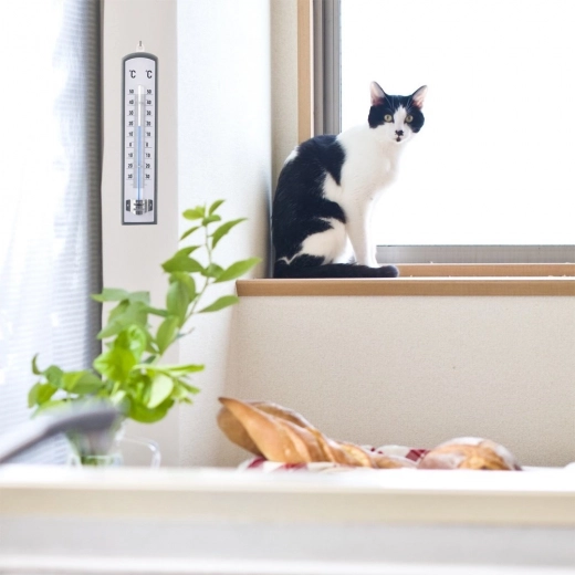 Design elegant din lemn