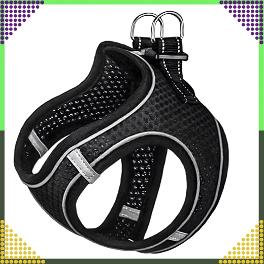 Fixare și reglare sigure