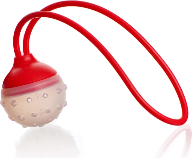 Strecurătoare din silicon pentru ceai și condimente CULINARIA, 5 × 22 cm, roșie