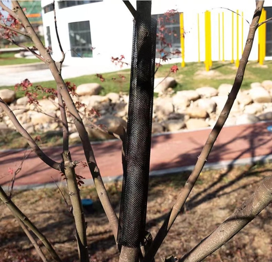 Protecție mecanică eficientă a scoarței