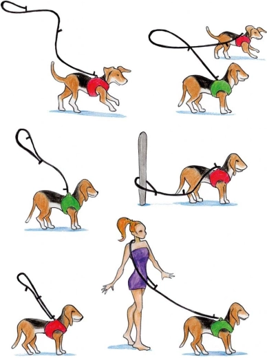 Trei lungimi ajustabile pentru orice situație