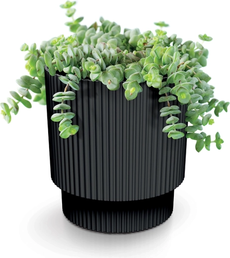 Susține creșterea sănătoasă a plantelor
