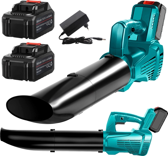 Două baterii și încărcător în pachet