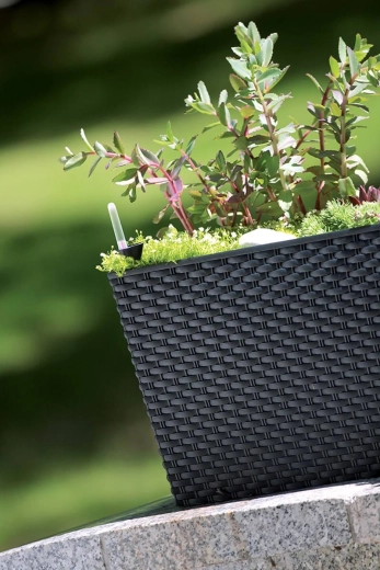 Design ratan stilat pentru interior și exterior