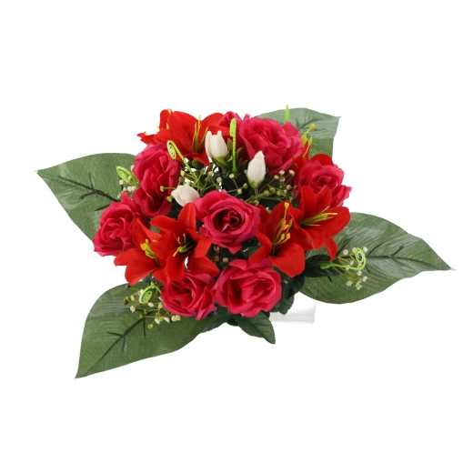 Compact și gata de expus